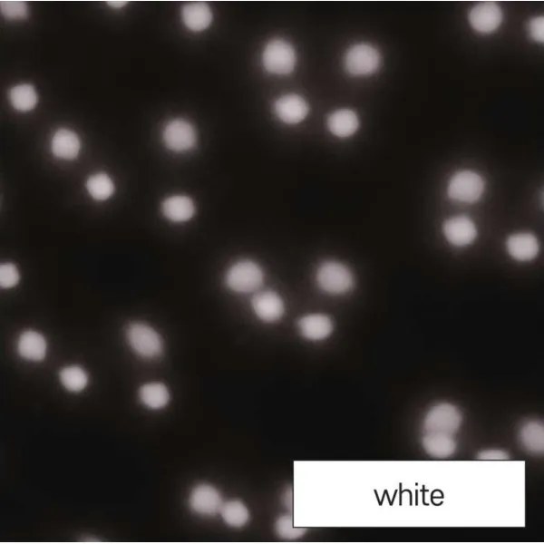 Proiector LED de Crăciun de exterior LED/4W/230V IP44 alb