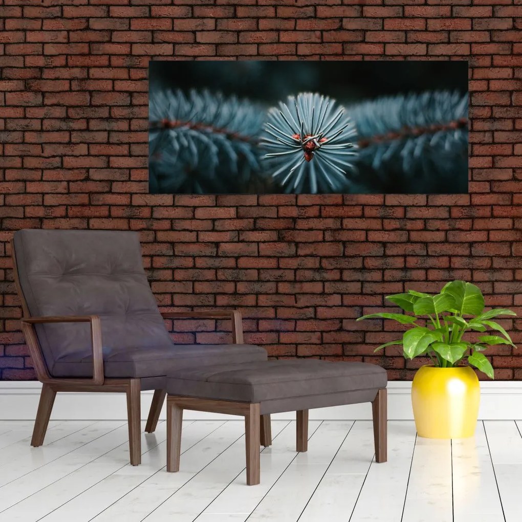 Tablou -Crenguțe ale unui conifer (120x50 cm)