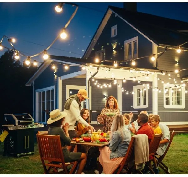 Lanț decorativ de exterior MIMOSA 10xE27/1,3W/230V IP44 10 m