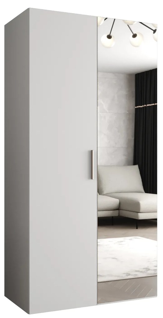 Dulap de haine 100 cm Borry 2 (alb + Argintiu). 1125803