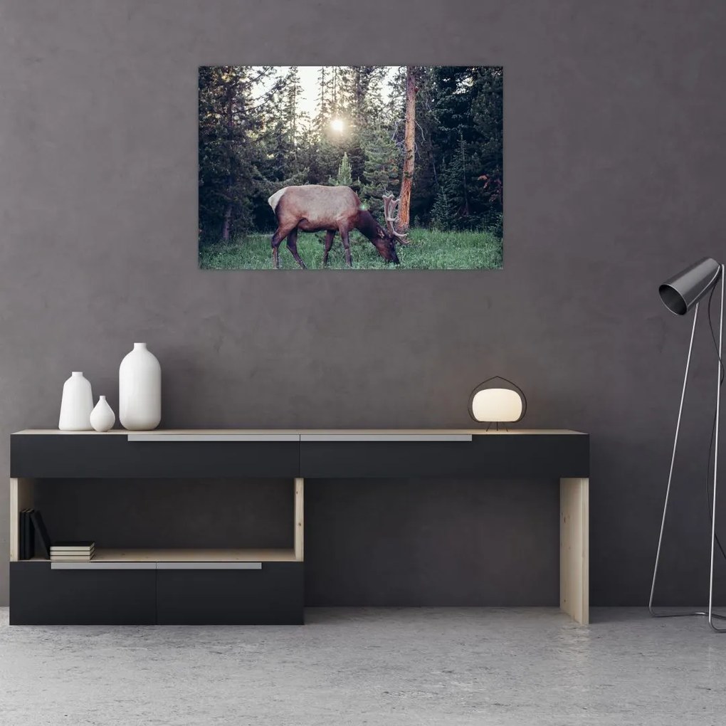 Tablou - Elan în poiană (90x60 cm)