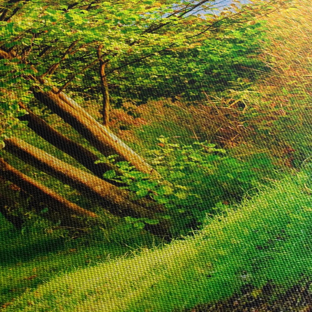 Tablou - poteci pe malul apei (120x50 cm)