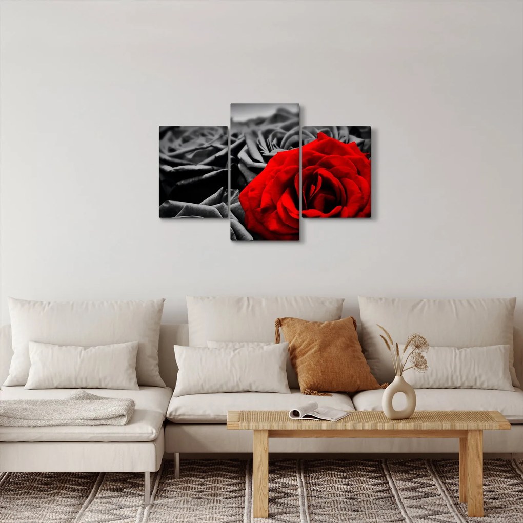 Tablou - Flori de trandafir (90x60 cm)