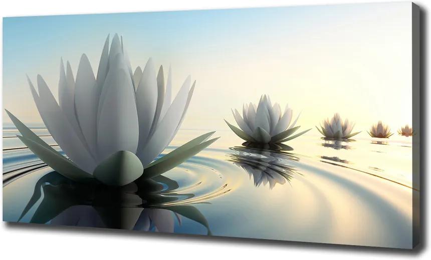 Imprimare tablou canvas Floare de lotus