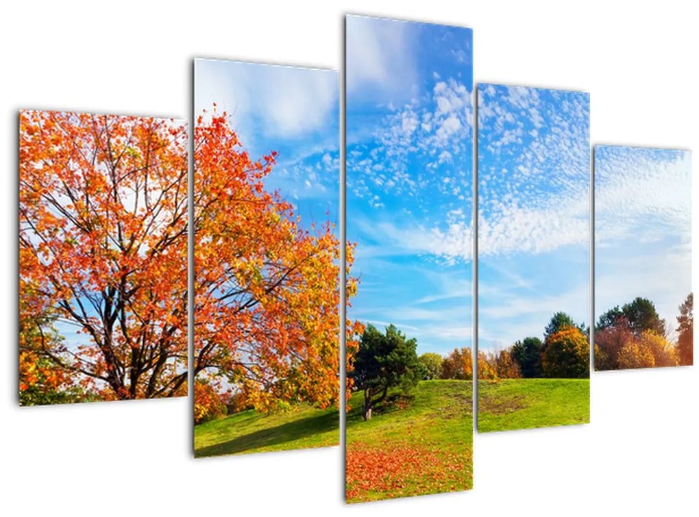 Tablou - Peisaj de toamnă (150x105 cm)