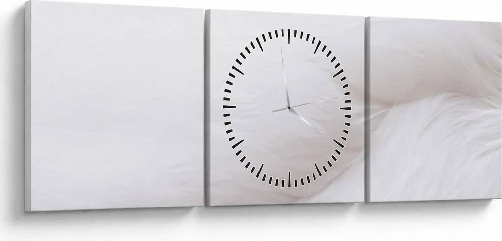 Tablou - Pană albă (cu ceas) (90x30 cm)