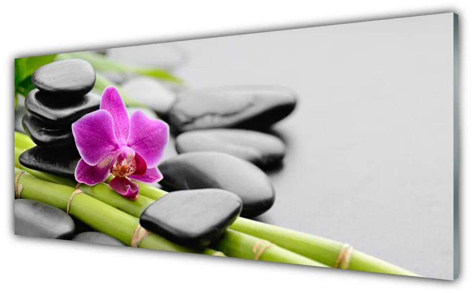 Tablou pe sticla Bamboo Tube flori Stones Arta Verde Roz Negru