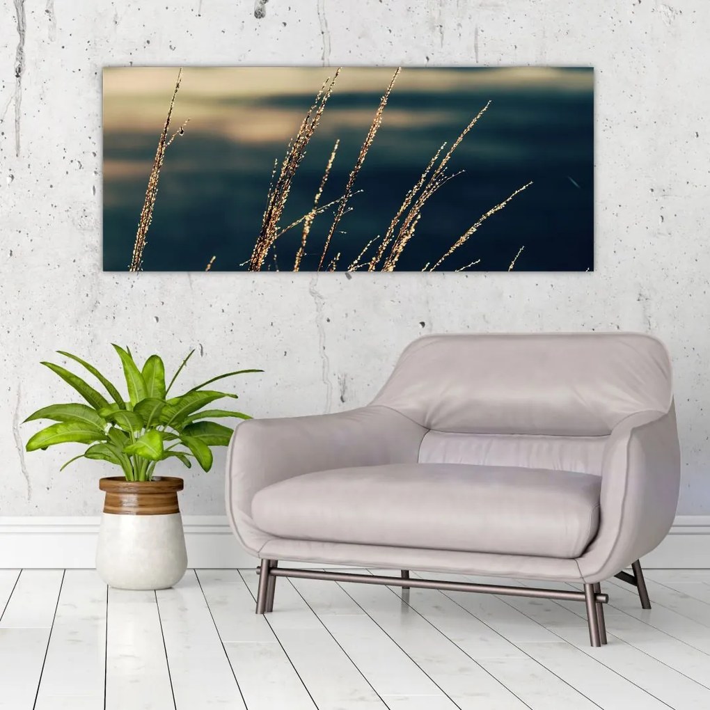 Tablou cu ierburi (120x50 cm)