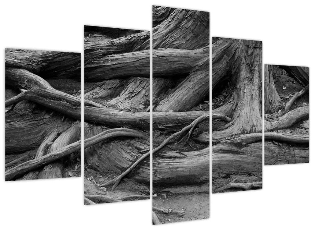 Tablou - Rădăcinile copacului (150x105 cm)