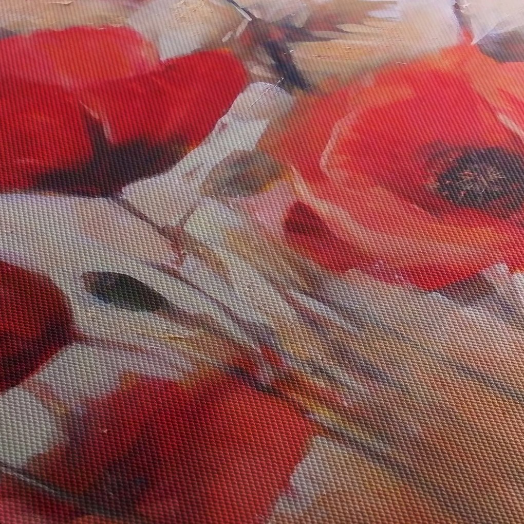 Tablou - Maculii lupului (90x60 cm)