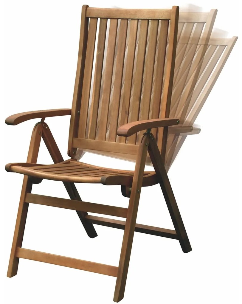 Scaun reglabil Fieldmann FDZN 4001-T , 2 buc.