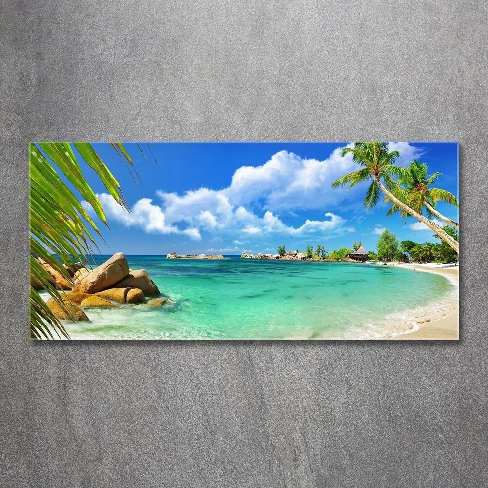 Tablou acrilic Plaja seychelles
