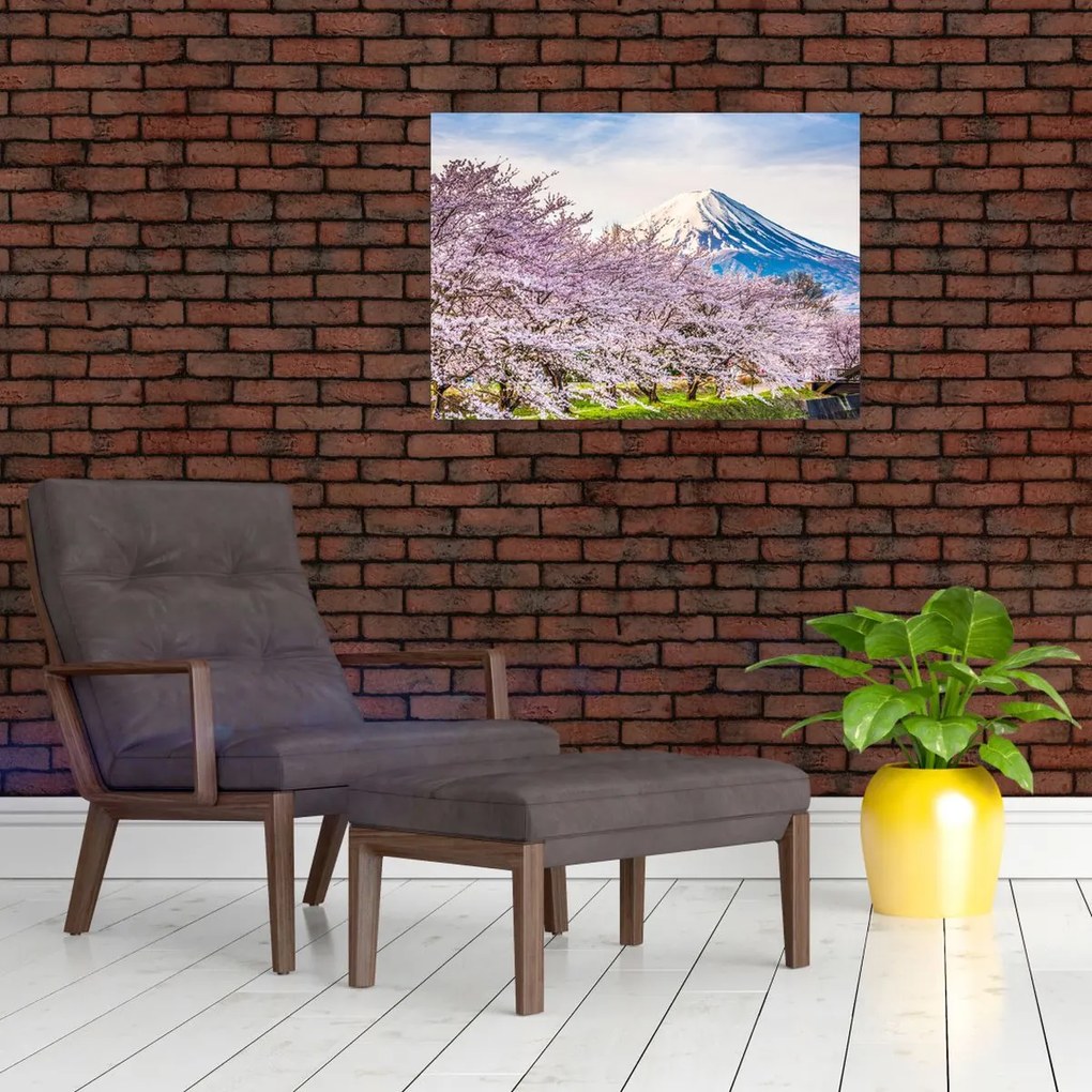 Tablou pe sticlă - Japonia în primăvară (70x50 cm)