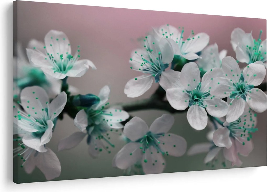 Tablou cu floare - turcoaz (90x60 cm)