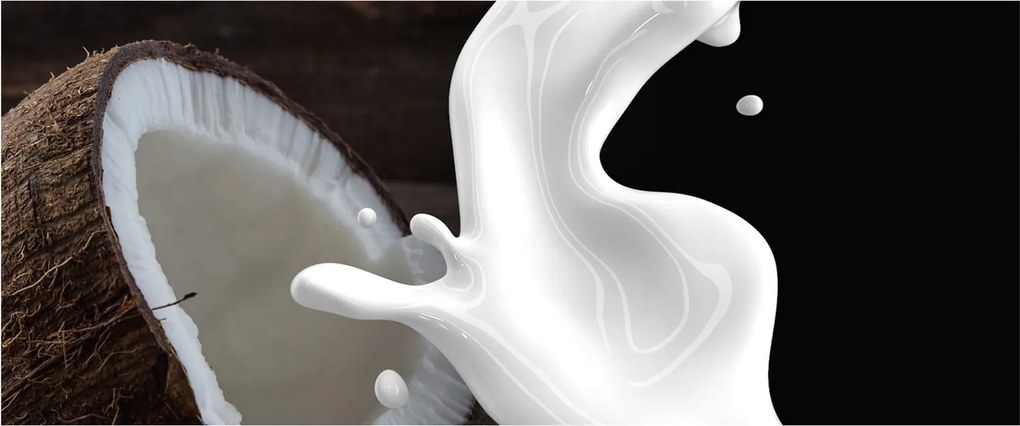 Tablou - laptele de cocos (120x50 cm)