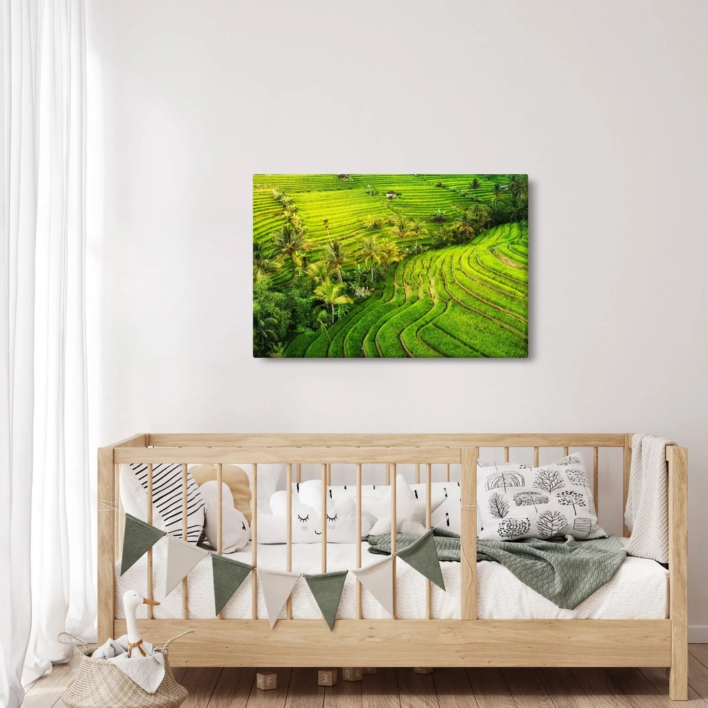 Tablou - Terase de orez (90x60 cm)