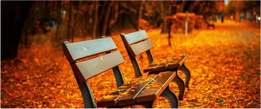 Tablou cu banca toamna (120x50 cm)