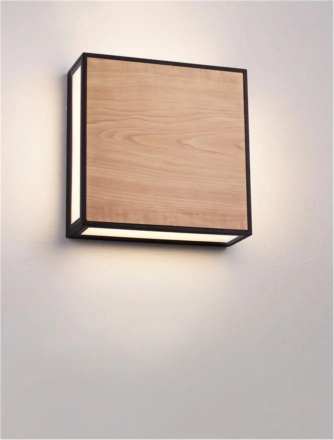 Aplica de perete LED iluminat exterior decorativ IP65 ASTRAL