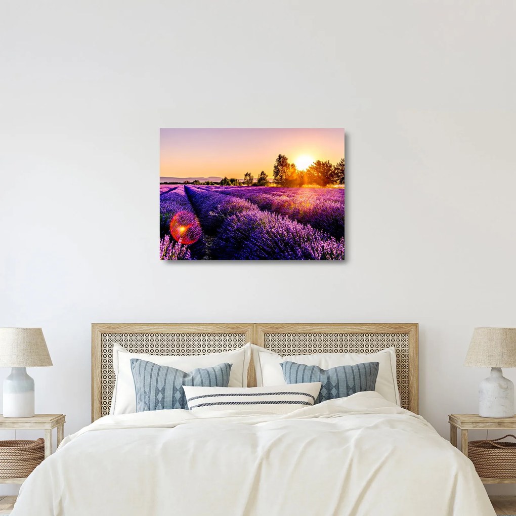 Tablou pe sticlă cu câmp de lavanda (70x50 cm)