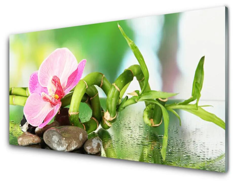 Tablou pe sticla acrilica Bamboo Peduncul flori Stones Natura Verde Roz Gri