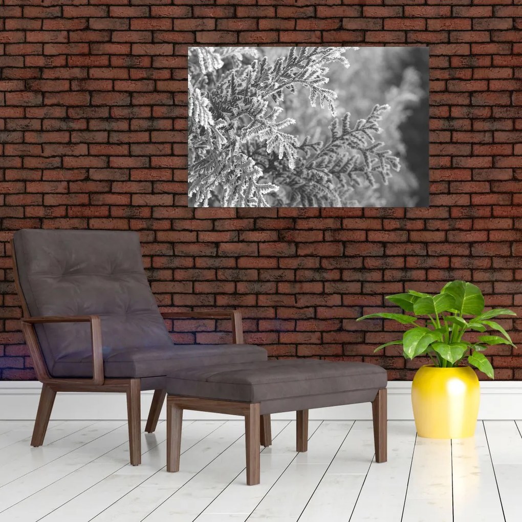 Tablou - Pădure de molid (90x60 cm)