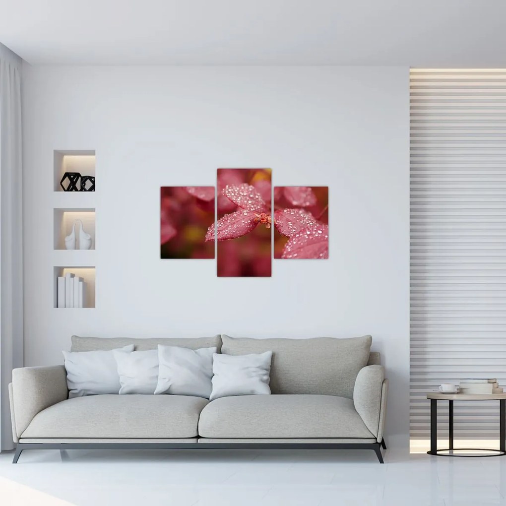 Tablou - Imagine macro a biletului (90x60 cm)