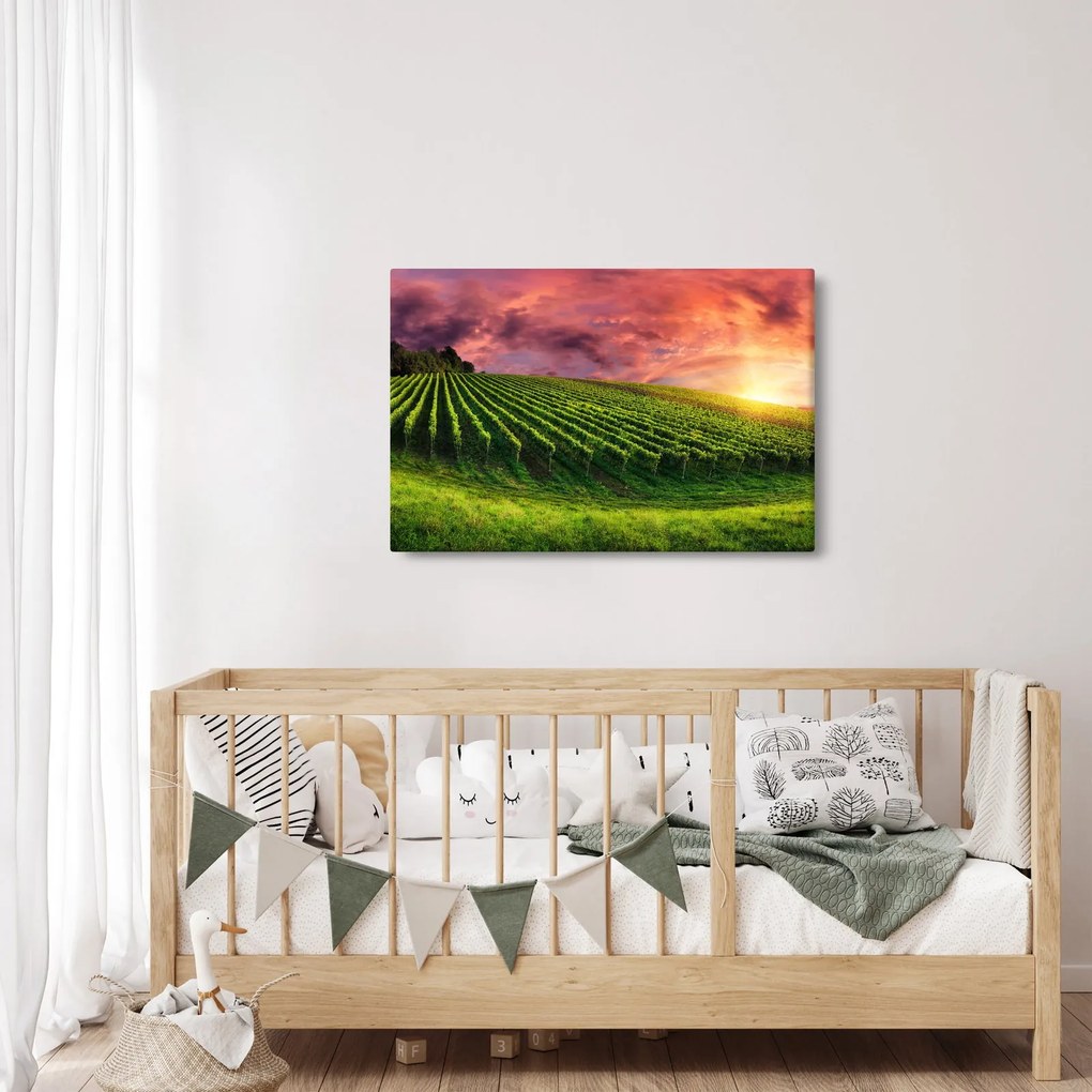 Tablou cu vie cu cerul color (90x60 cm)