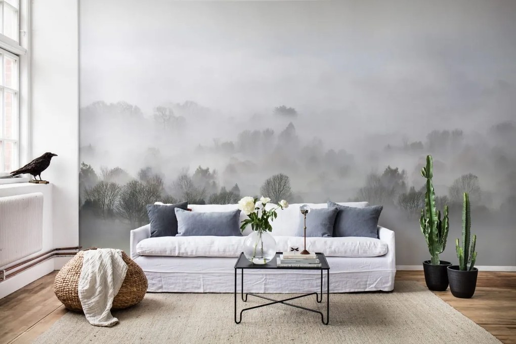 Fototapet, Morning Fog, Rebel Walls