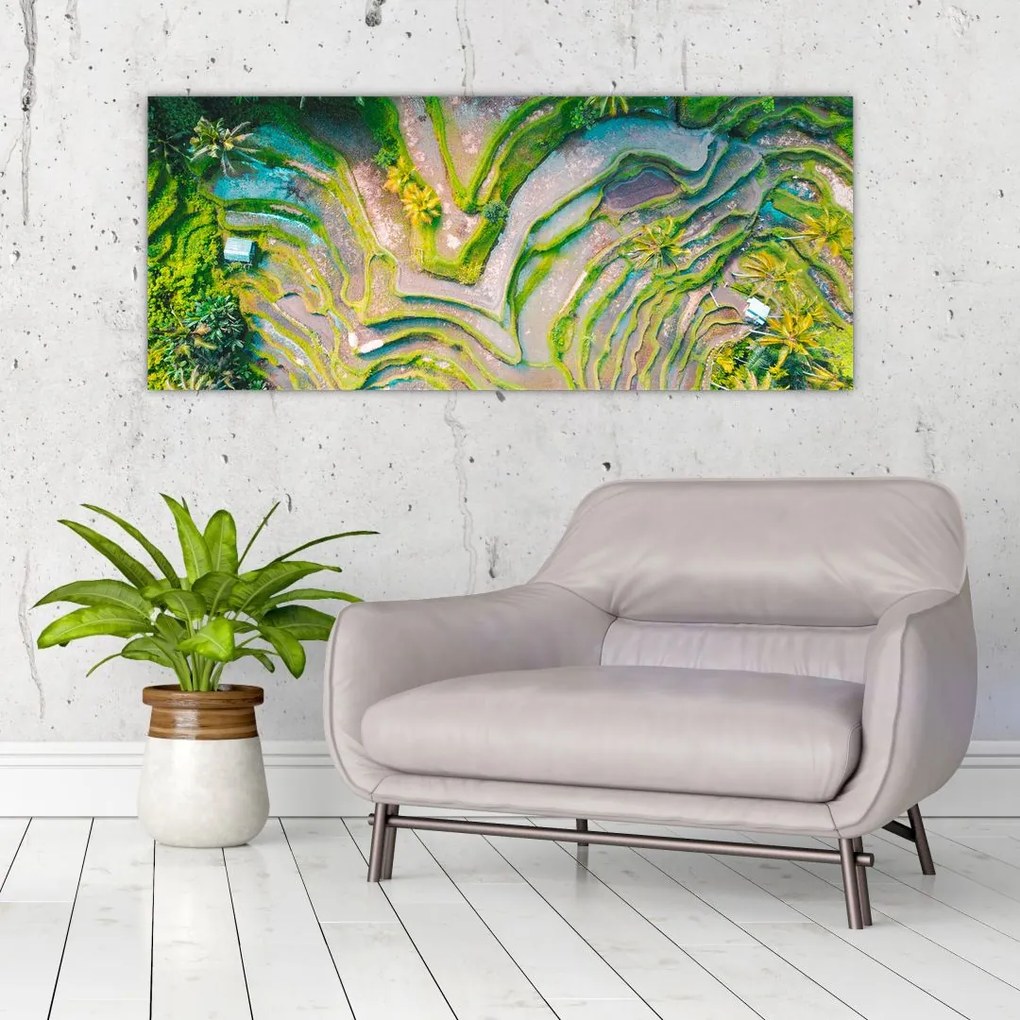 Tablou cu lanuri de orez din privire de sus (120x50 cm)