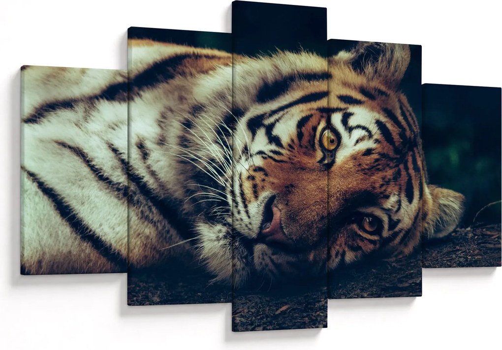 Tablou - Tigrul Siberian (150x105 cm)