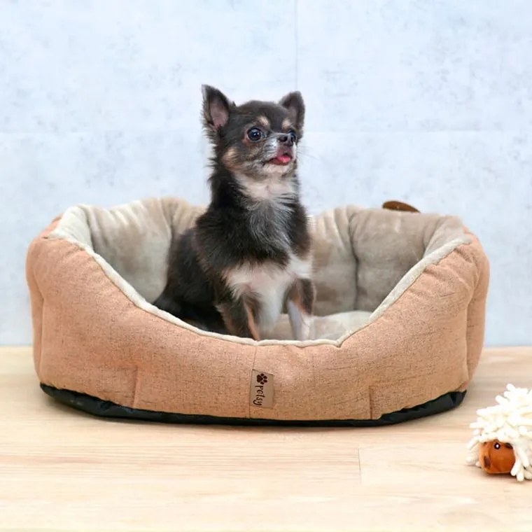 petsy Culcuş pentru câine BEN mărime L - 75 x 60 cm