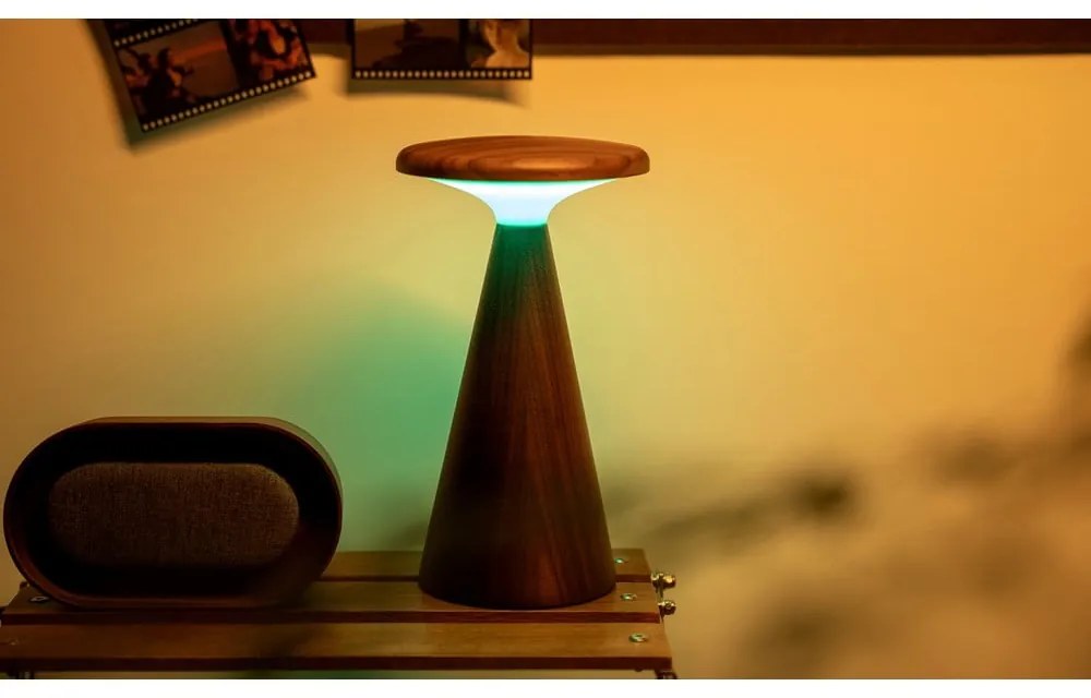 Veioză în culoare naturală închisă LED cu abajur din lemn (înălțime 21 cm) Sylva – Gingko