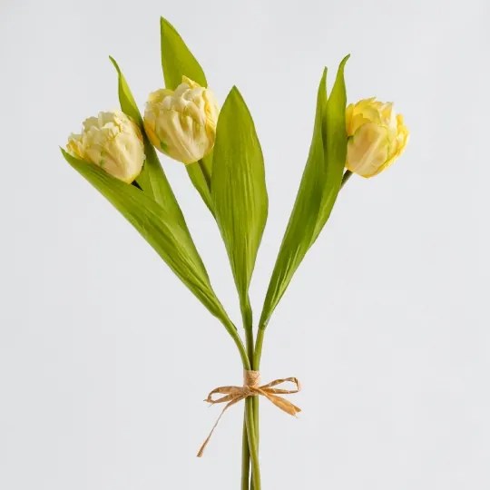 buchet tulipios