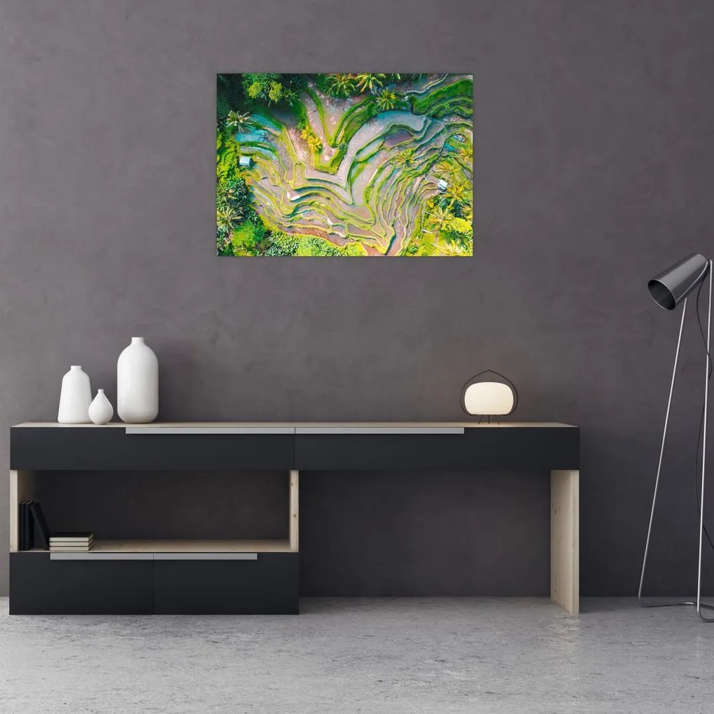 Tablou cu lanuri de orez din privire de sus (70x50 cm)