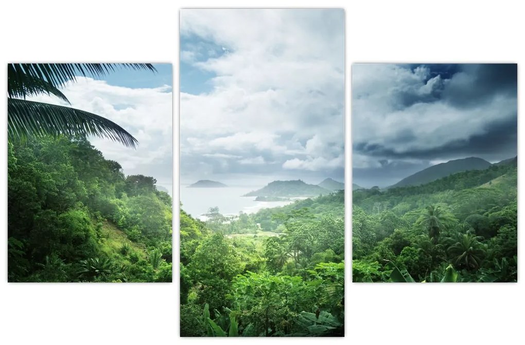 Tablou -Jungla din Seychelles (90x60 cm)
