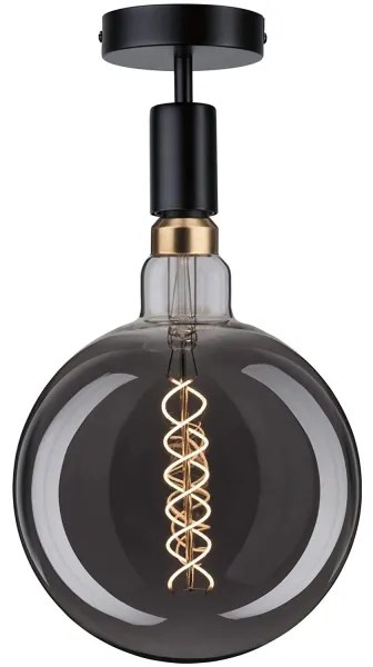 Paulmann 79760 - Plafonieră HALDOR 1xE27/20W/230V