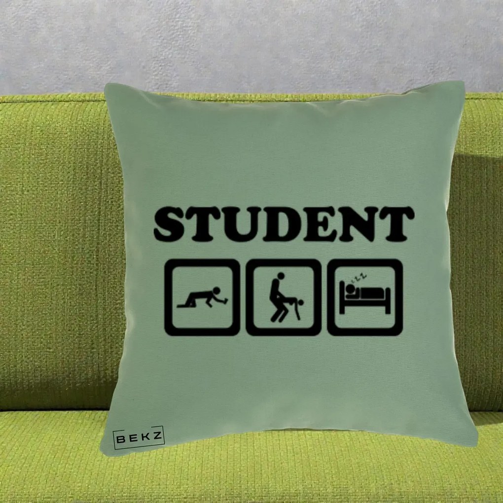 Perna Decorativa Student Life, 40x40 cm, Verde, Husa Detasabila, Perna Inclusa, BEKZ®