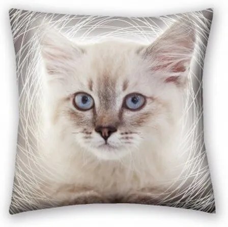 Pernuță Animals Cat grey, 40 x 40 cm