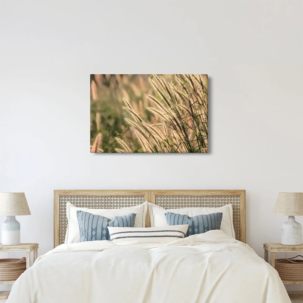 Tablou - Cereale (90x60 cm)