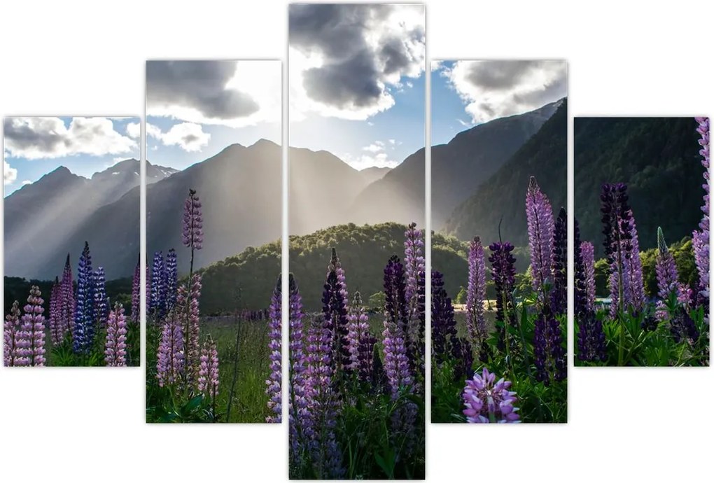 Tablou - scenariu cu flori de Lupin (150x105 cm)