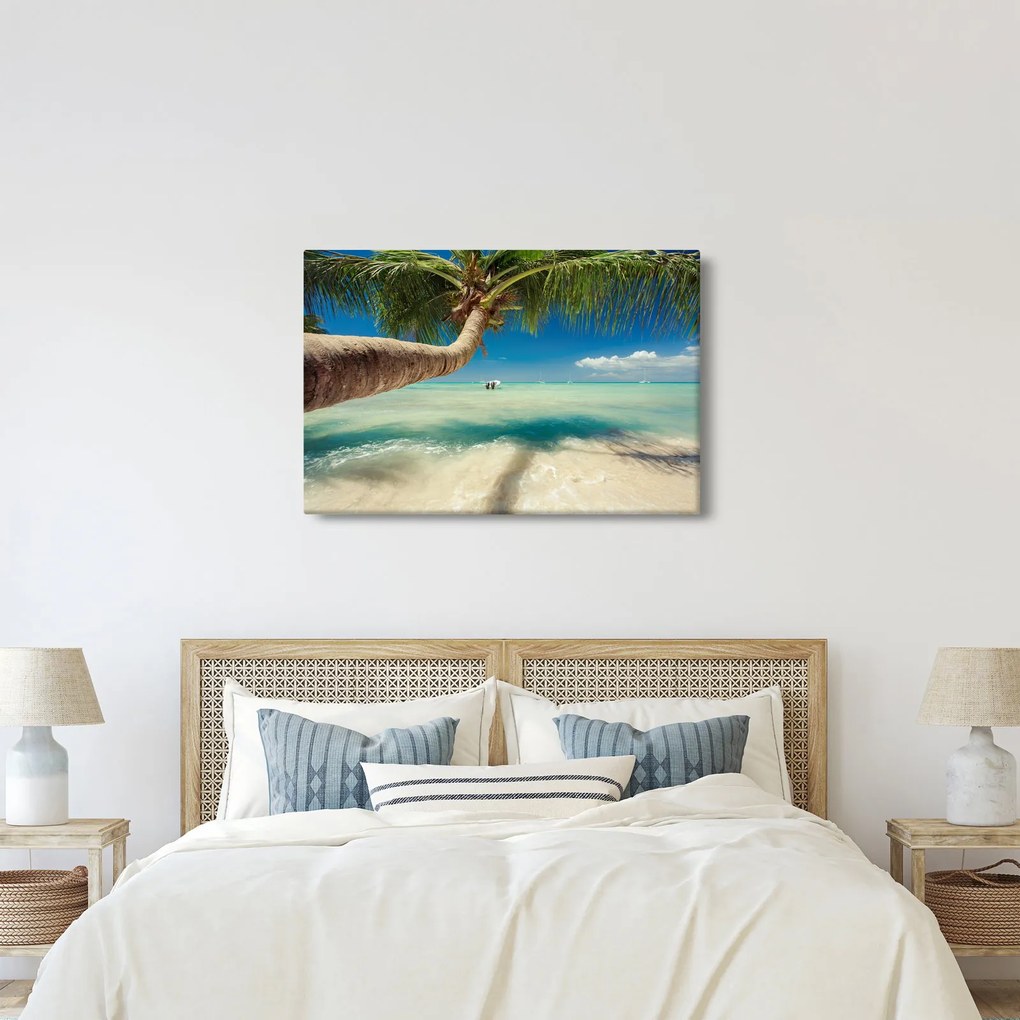 Tablou - Mare curată cu palmier (90x60 cm)