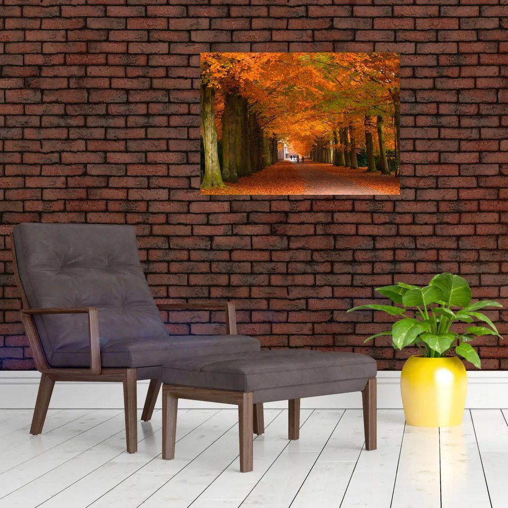 Tablou - Bulevardul de copaci în toamnă (70x50 cm)