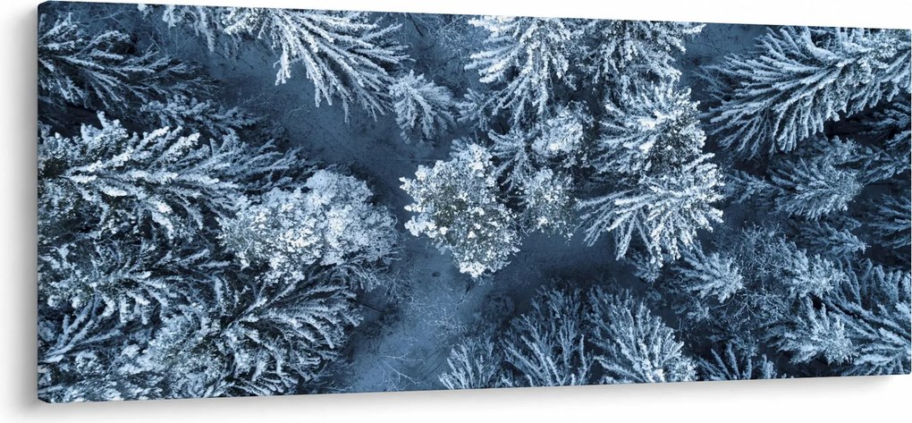 Tablou - Pădure înzăpezită (120x50 cm)