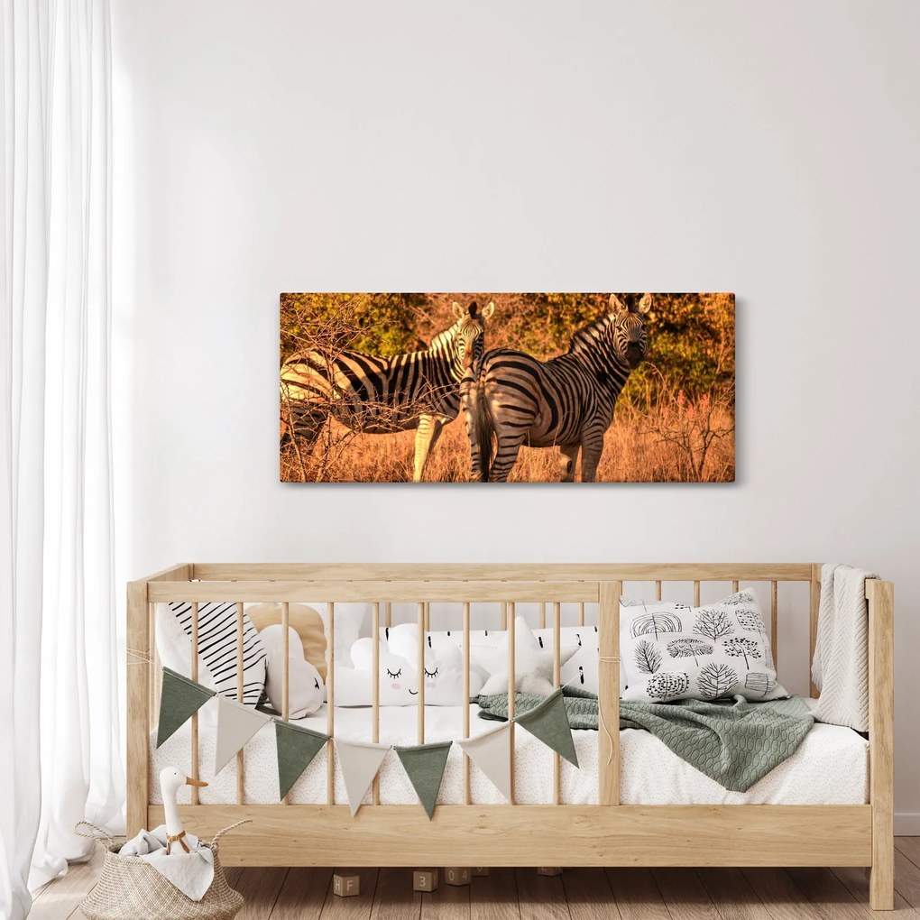 Tablou cu zebre (120x50 cm)