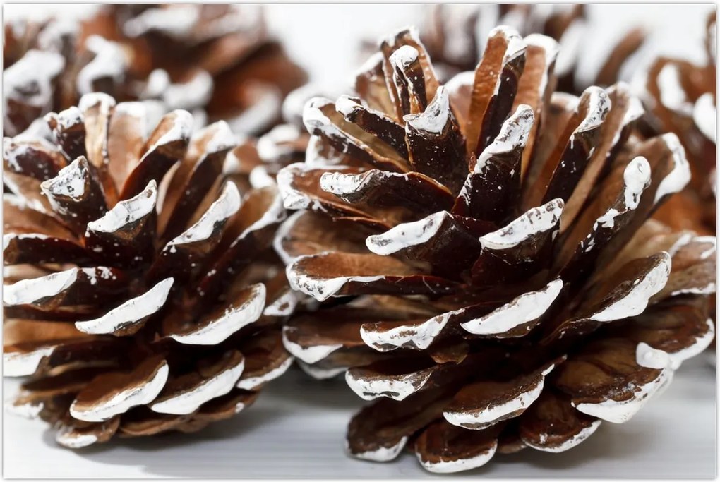 Tablou - Gogoși (90x60 cm)