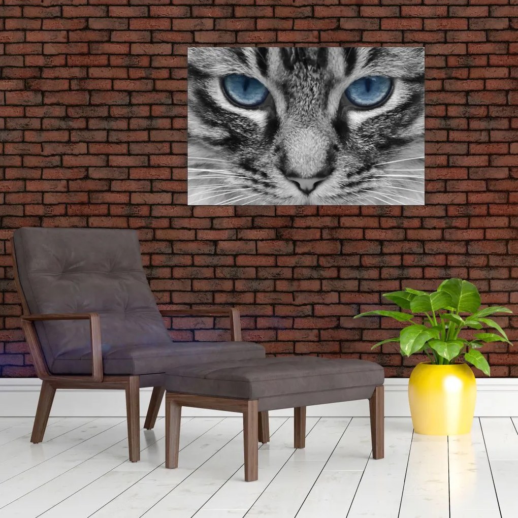 Tablou cu pisica (90x60 cm)