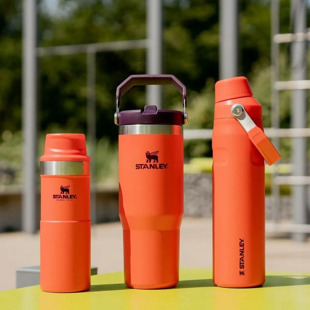 Sticlă de apă Stanley Aerolight IceFlow Fast Flow 600 ml Tigerlily