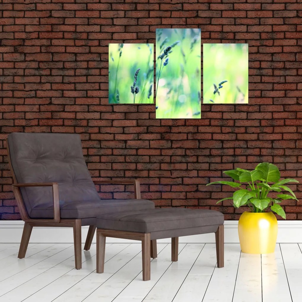 Tablou - Detaliu pajiște (90x60 cm)