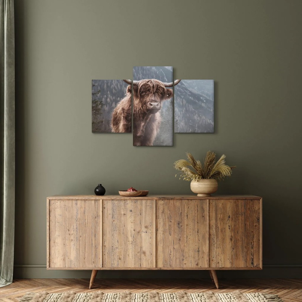 Tablou - Vaca Highlander (90x60 cm)