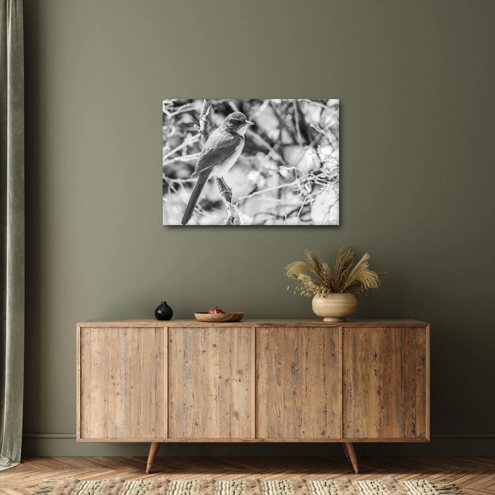Tablou - Bluebird în timpul iernii (70x50 cm)